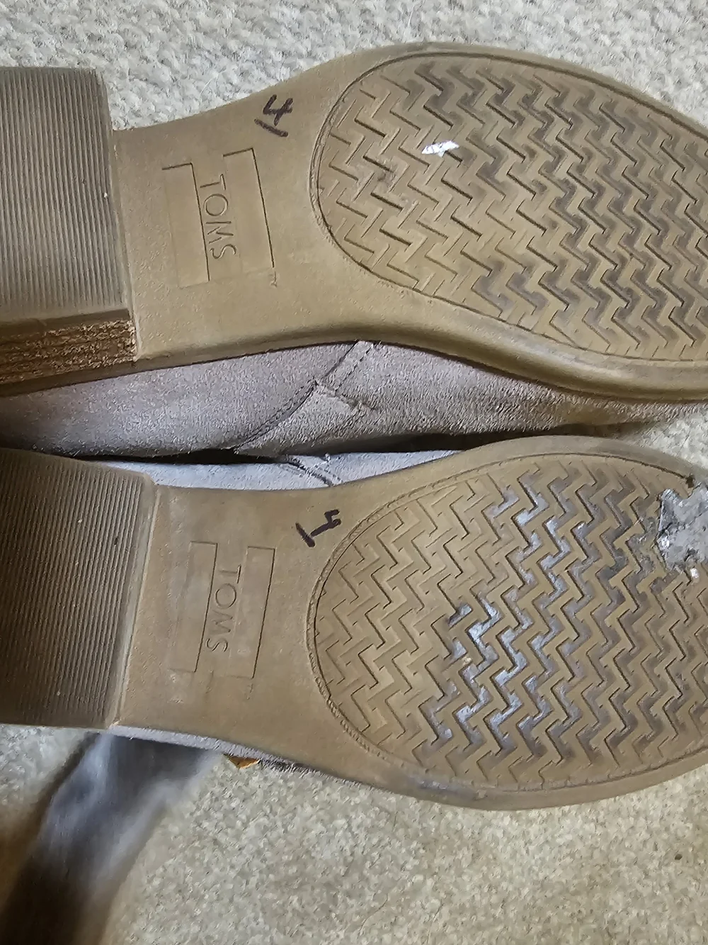 Toms tom women